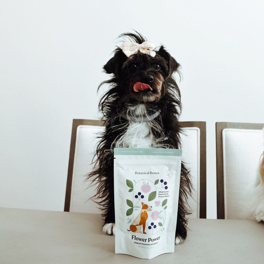 Flower Power Cookies - All Natural, Organic Dog Treats,