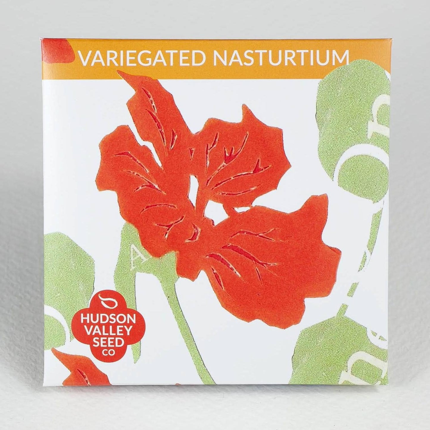 Variegated Nasturtium