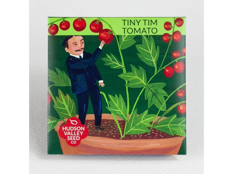 Tiny Tim Tomato