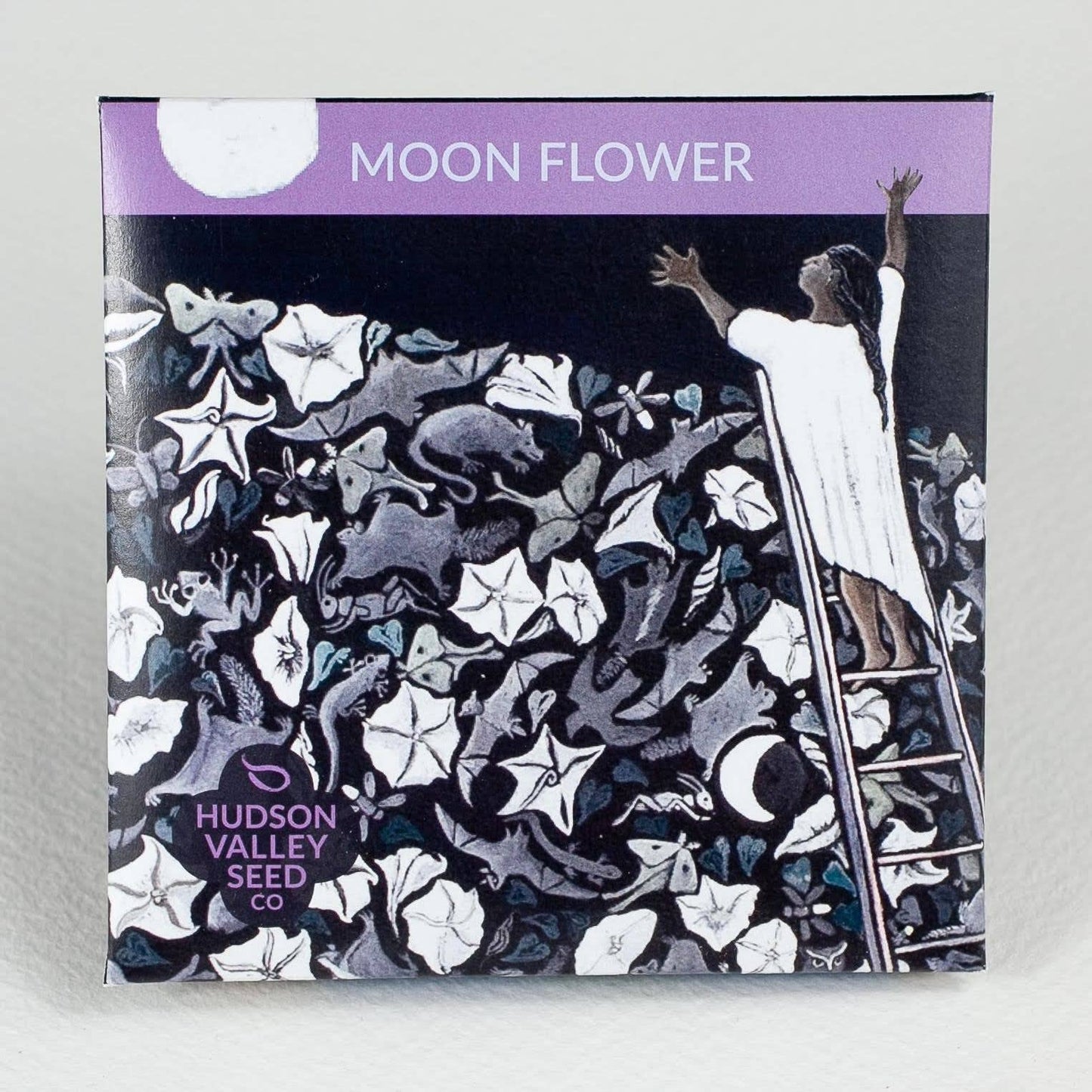 Moon Flower