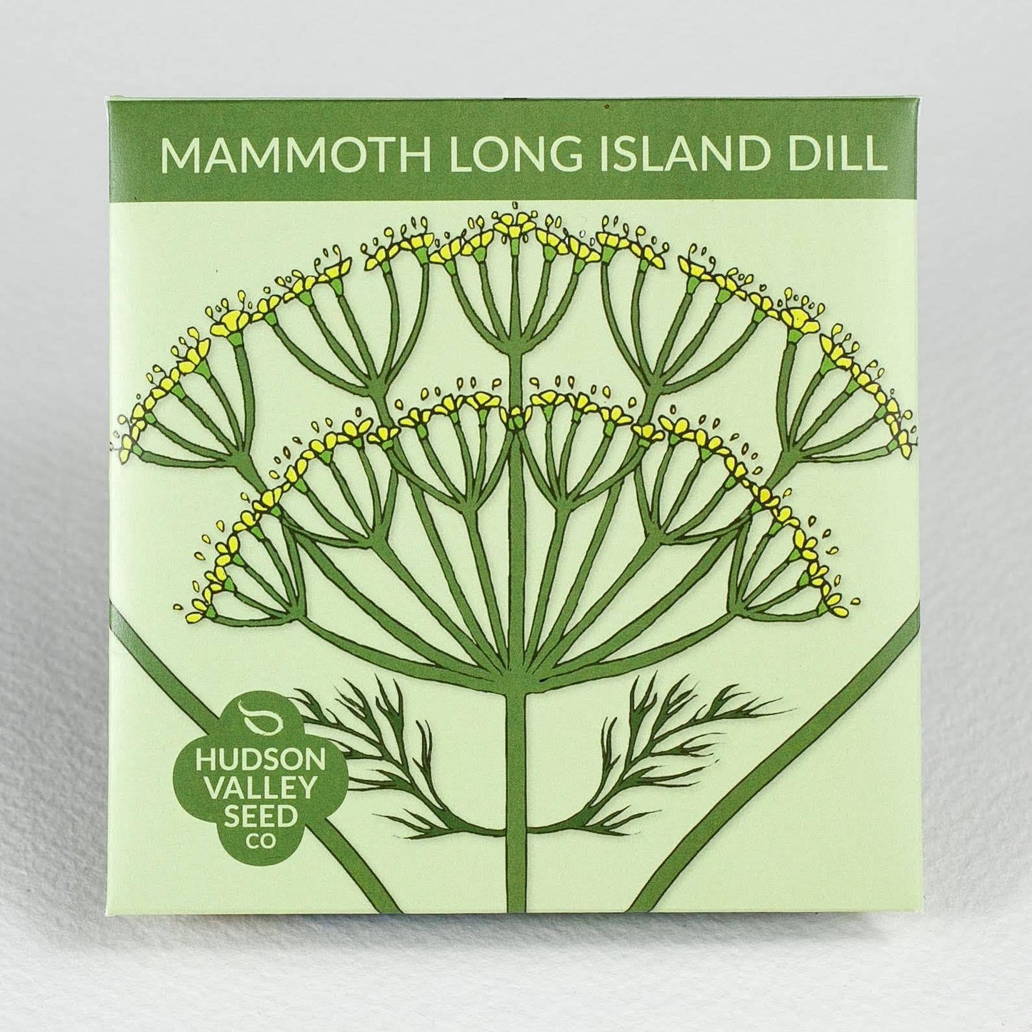 Mammoth Long Island Dill Herb