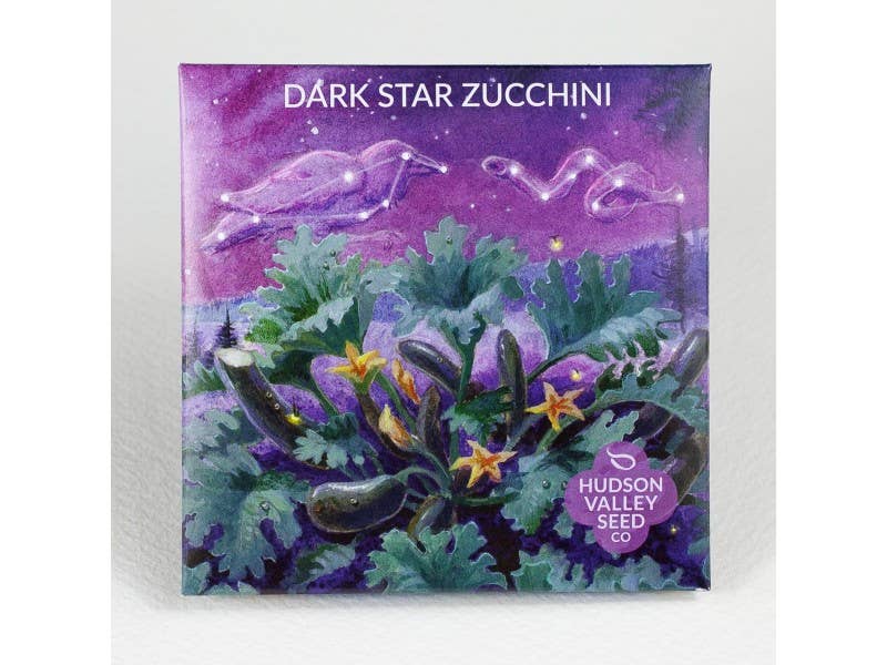 Dark Star Zucchini Summer Squash