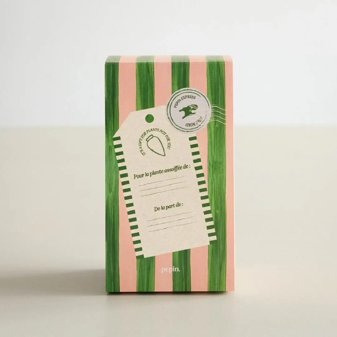 Olla Christmas Edition ๐
๐ผ - Terracotta