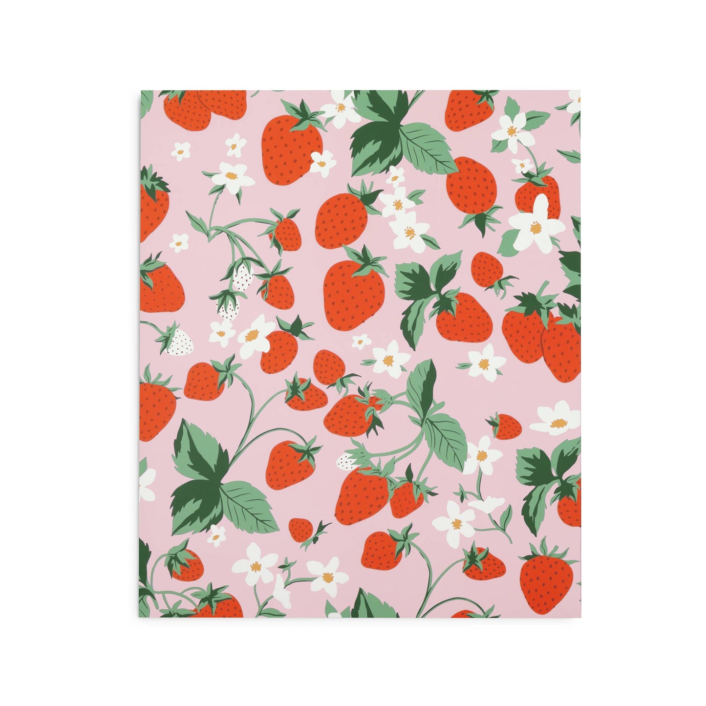 Pocket Folder Set, Flowers and Fruit