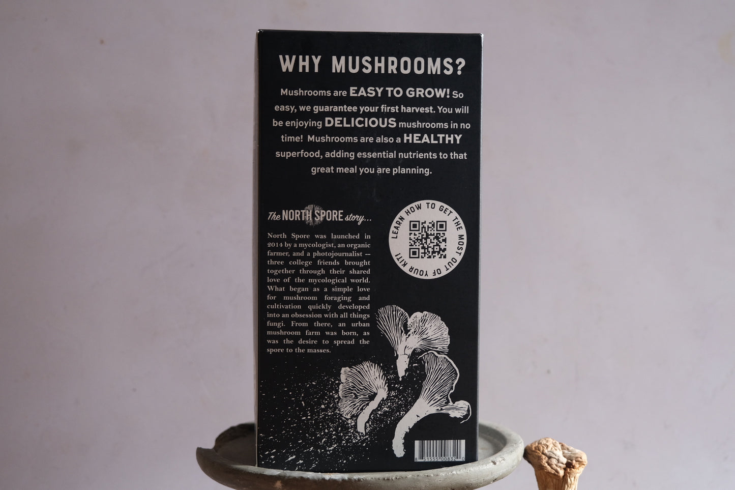 Grow your own mushrooms: Golden Oysters.
