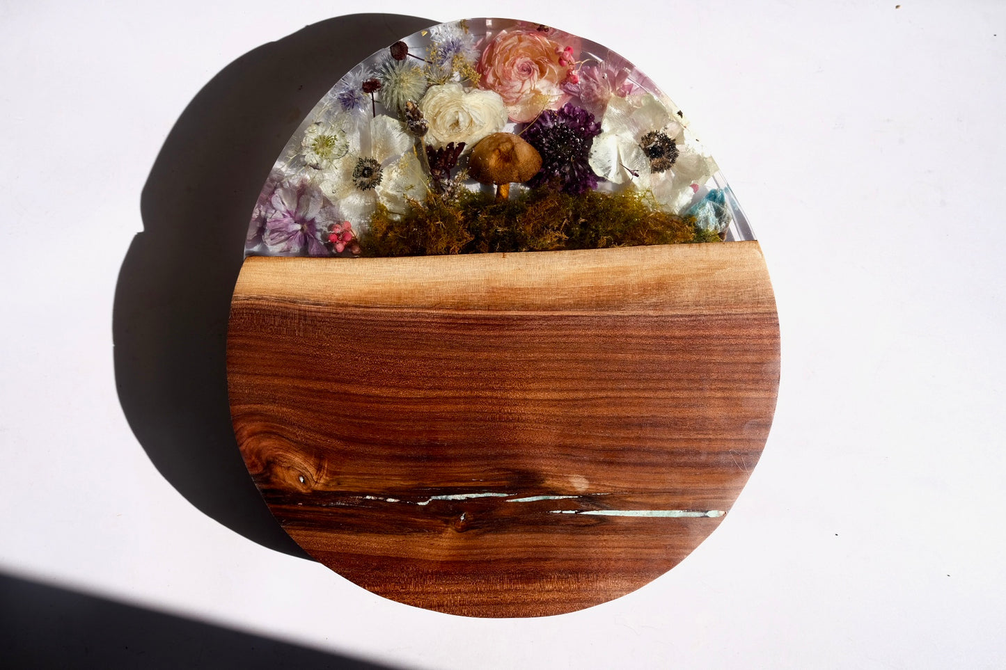 Cosmos board