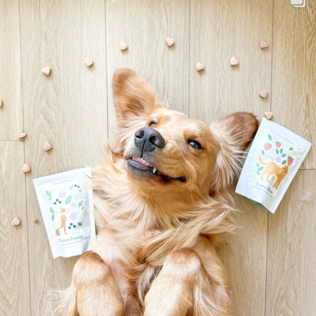 Love Bites - Training Treats | Organic | For All Dogs 💕