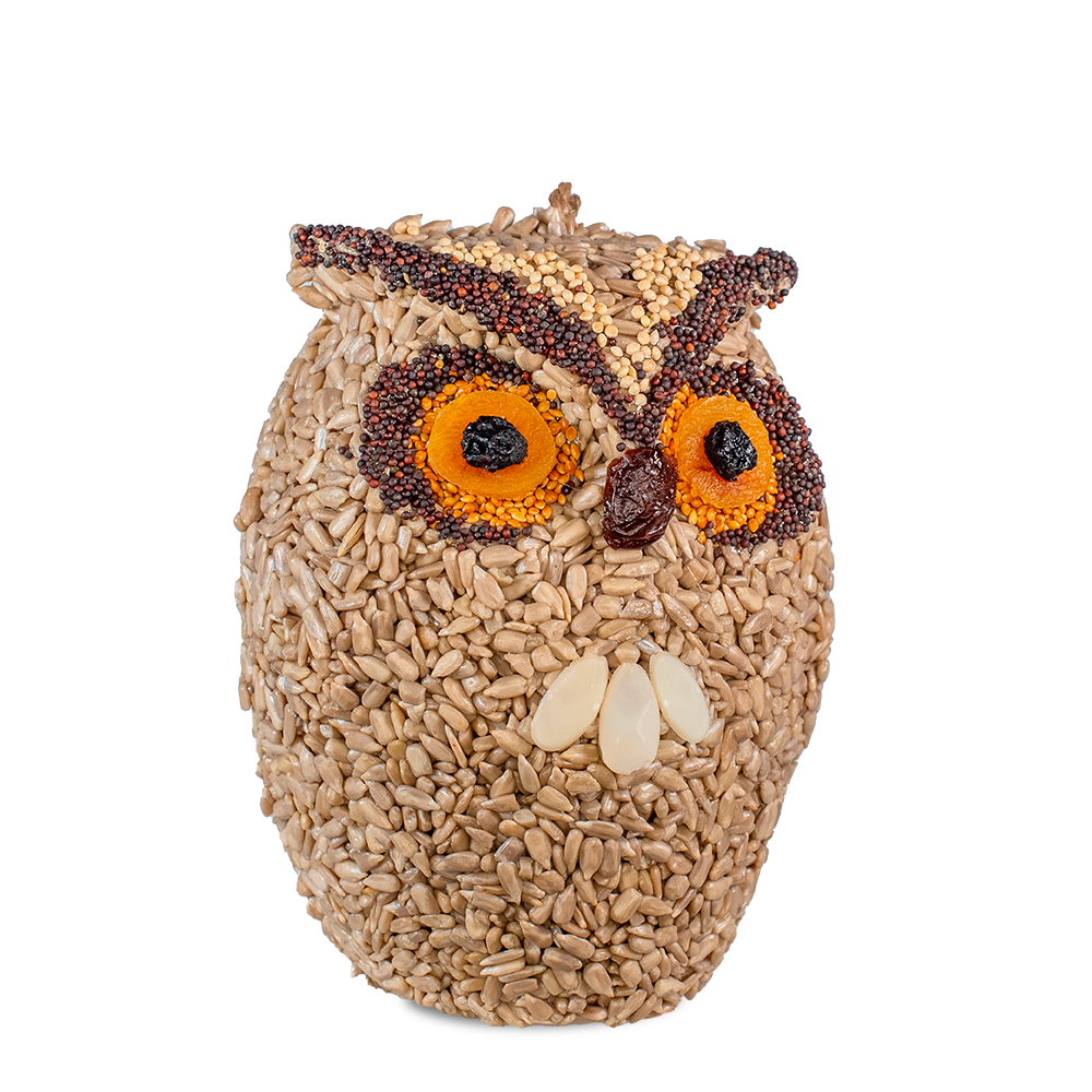 Whoo-lio Owl