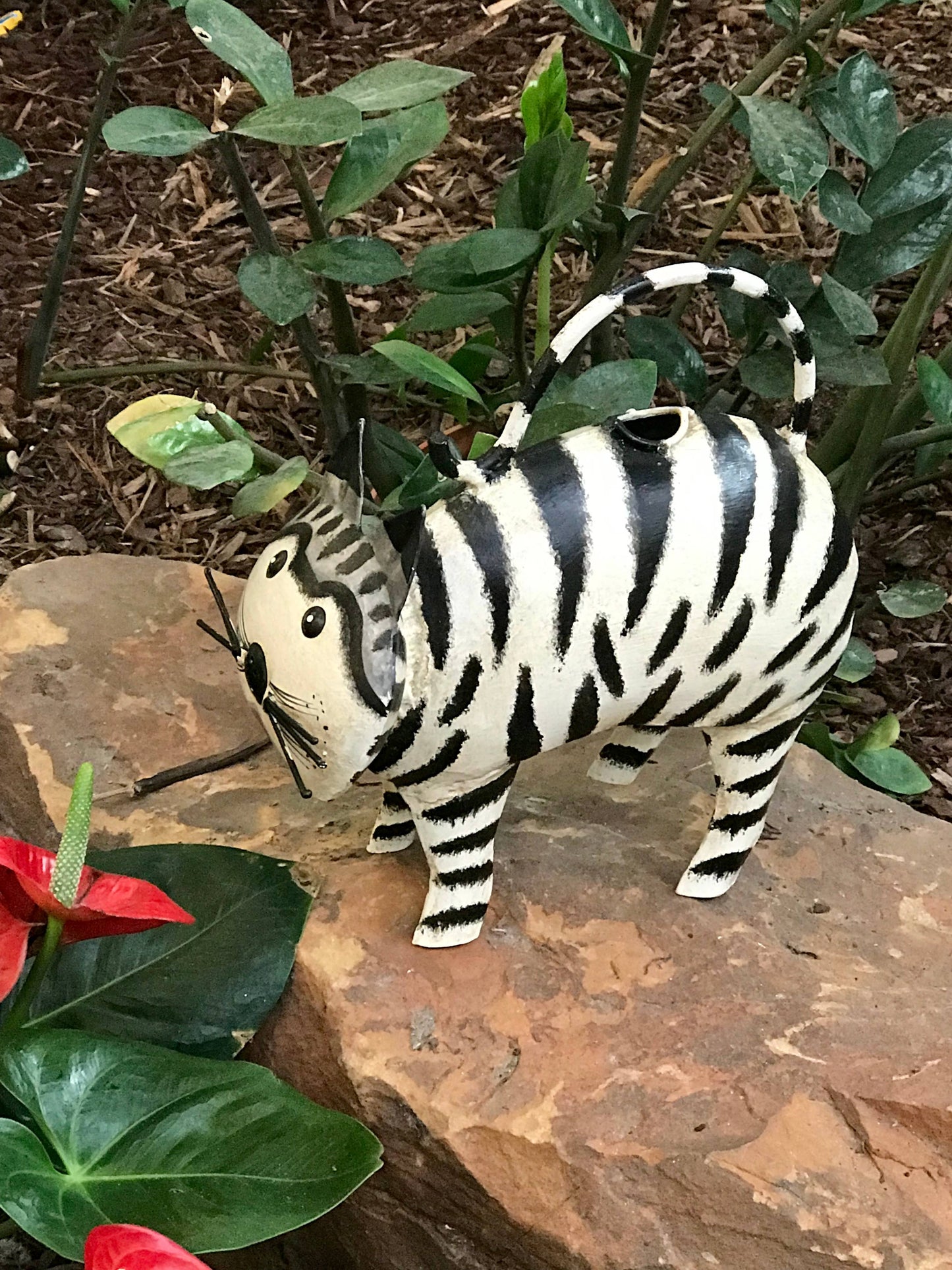 Coco The Cat Plant Pals Water Can