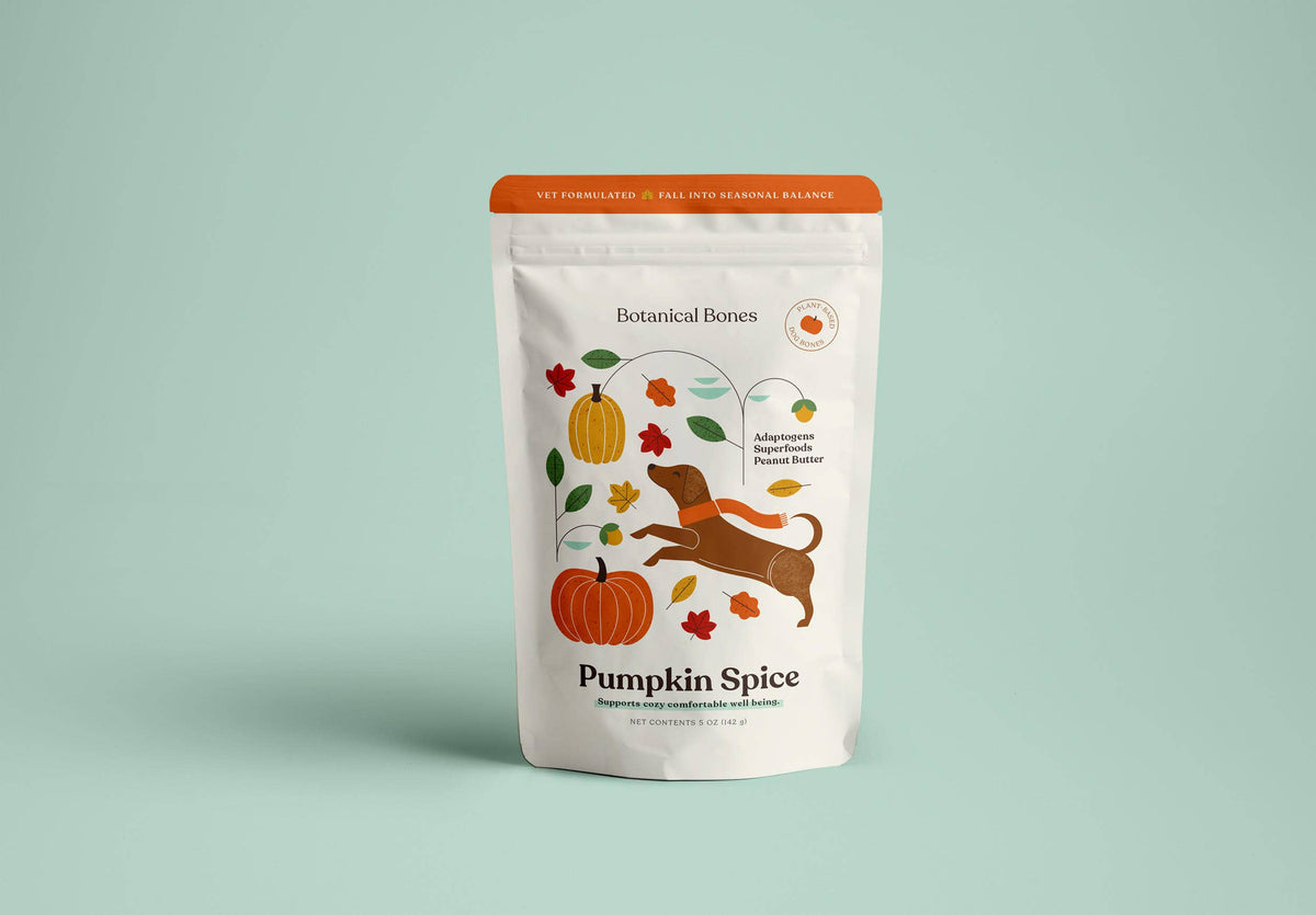 Pumpkin Spice Dog Treats š Fall, Autumn, Halloween