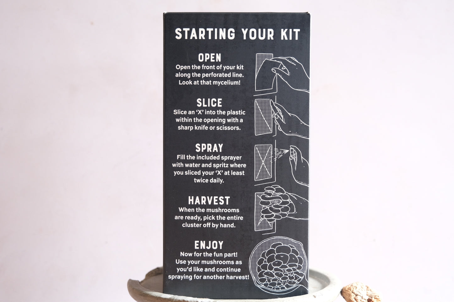 Grow your own mushrooms: Golden Oysters.