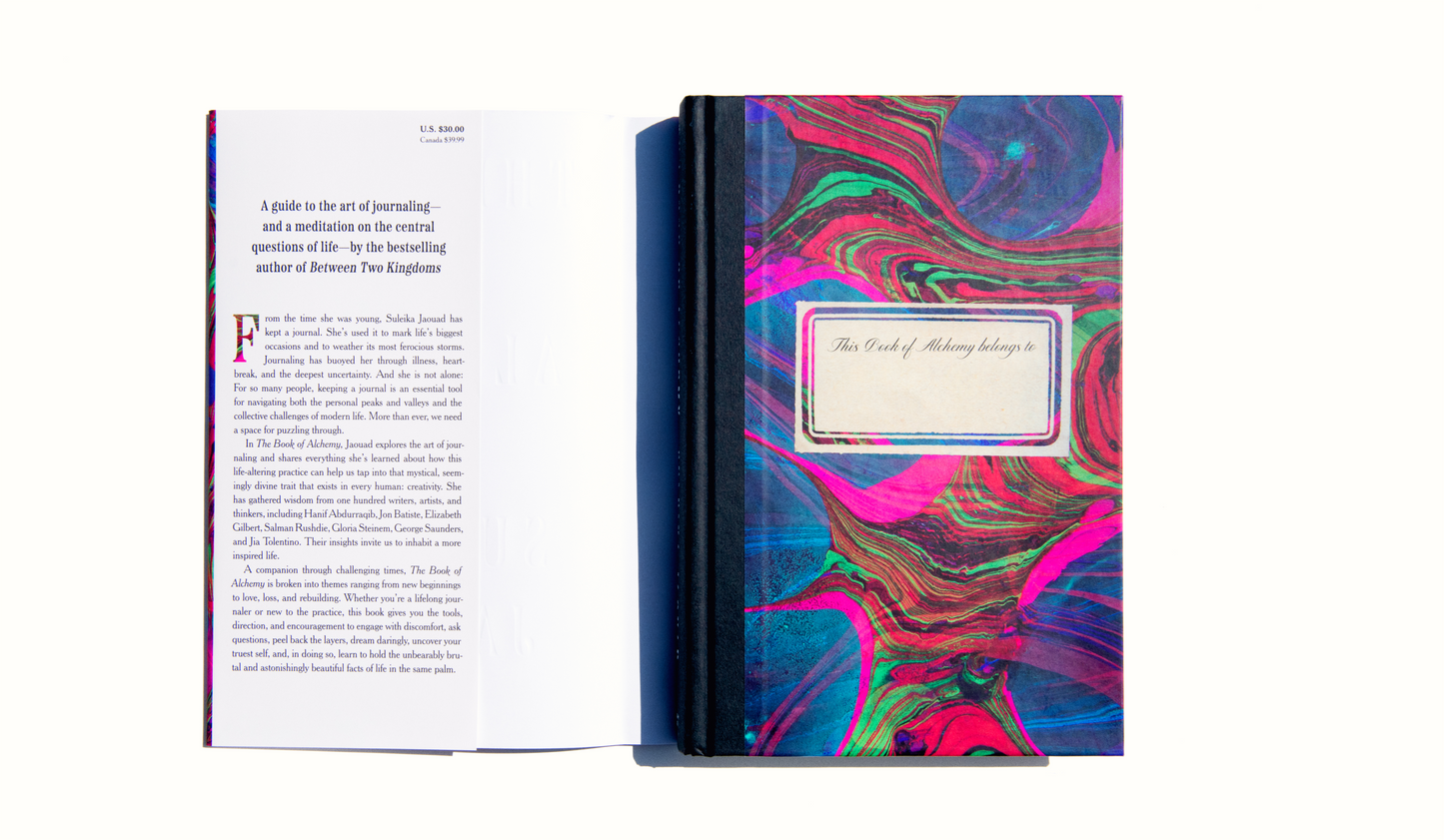 Book of Alchemy, the'