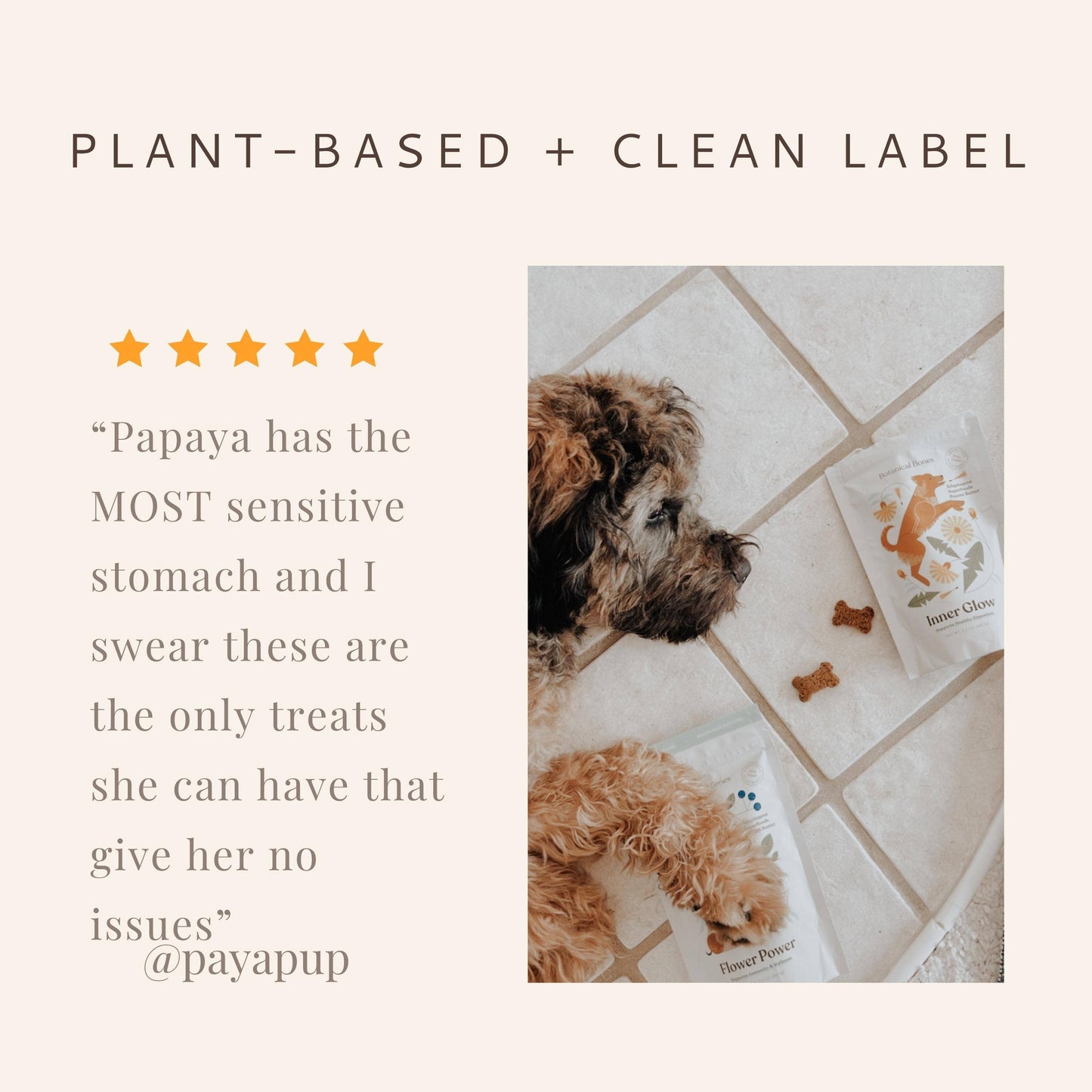 Flower Power Cookies - All Natural, Organic Dog Treats,