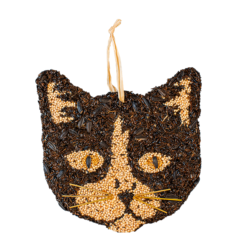 Cat Cookies - 12pk Assortment