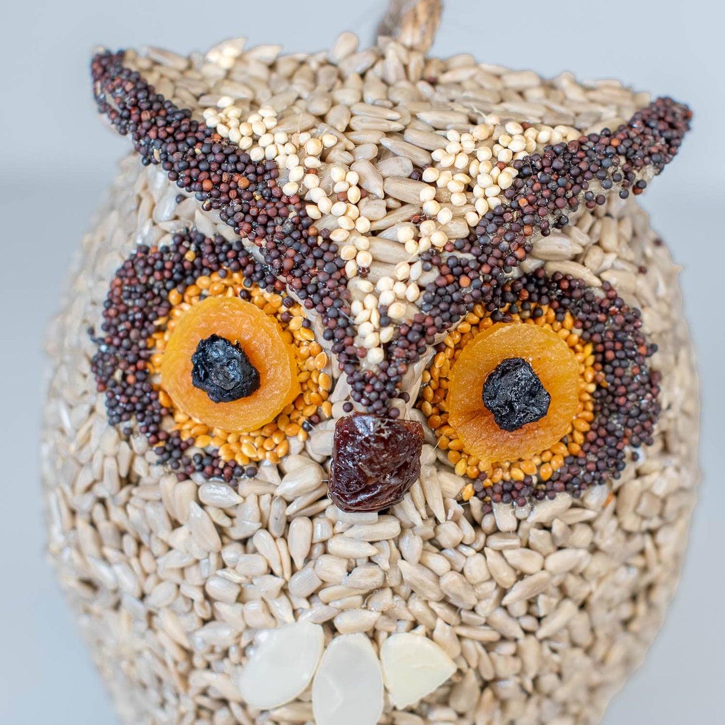 Whoo-lio Owl
