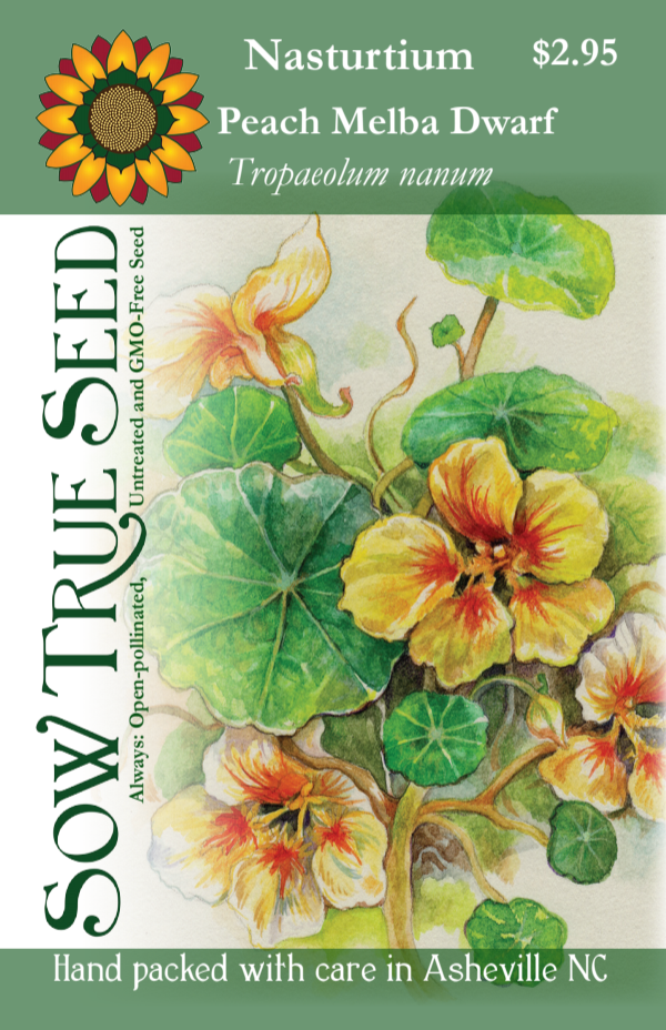 Nasturtium Seeds - Peach Melba Dwarf