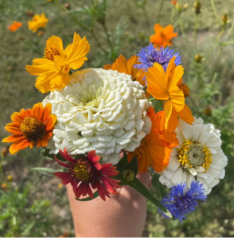 Good bug blooms