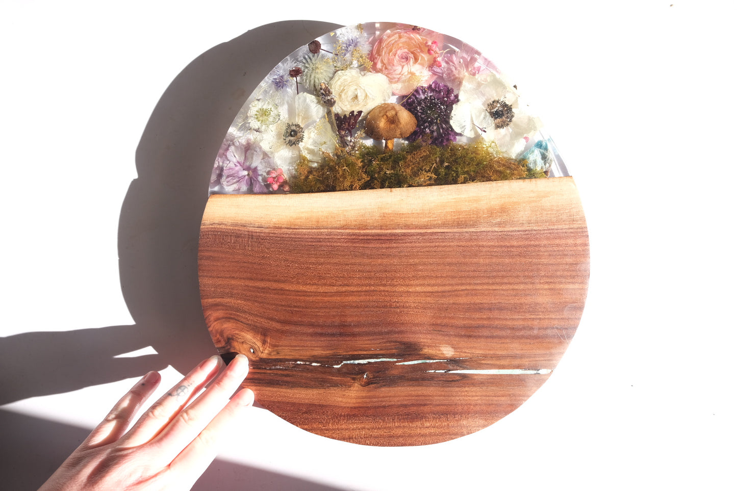 Cosmos board