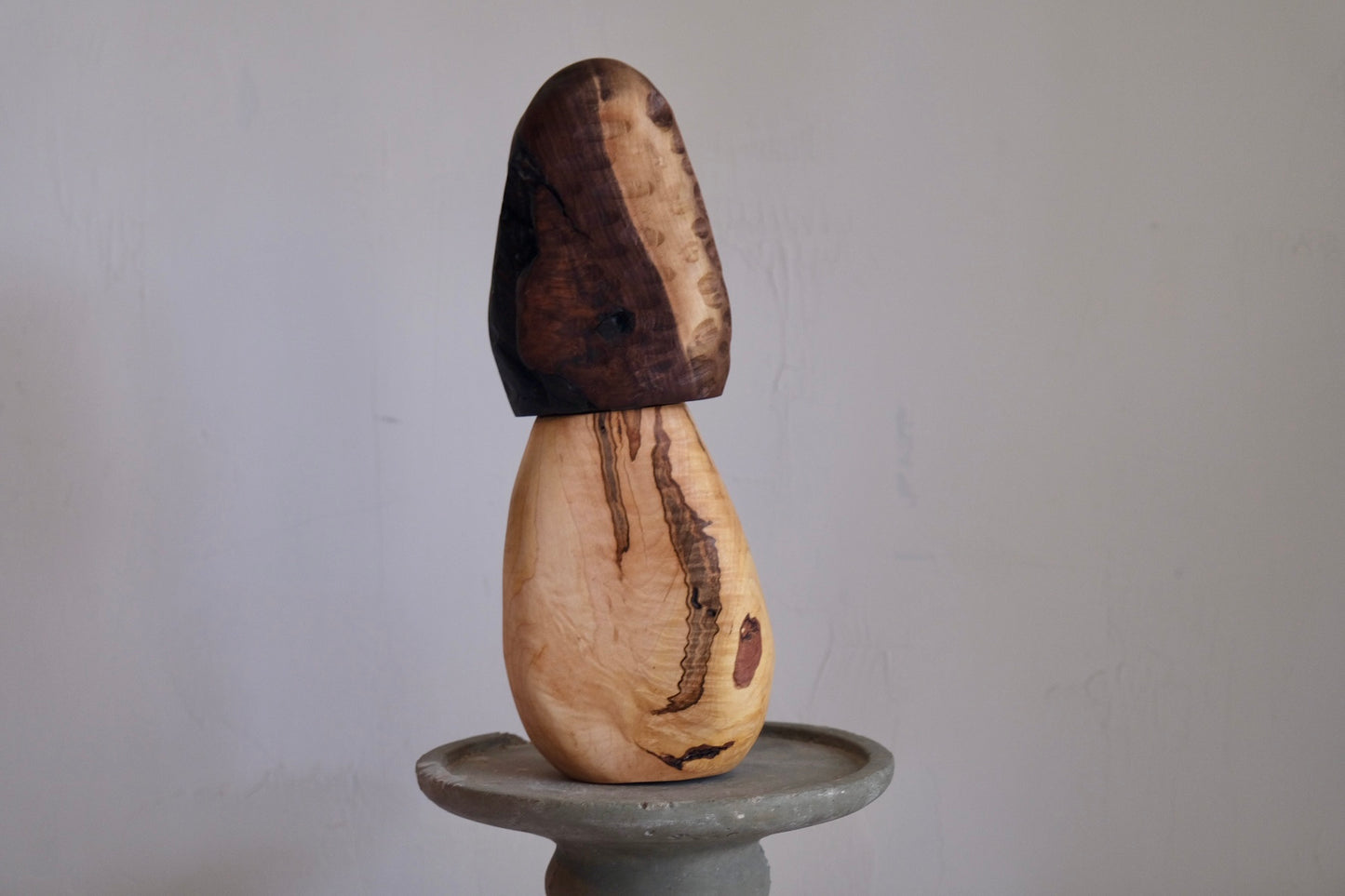 Morel mushroom spice grinder