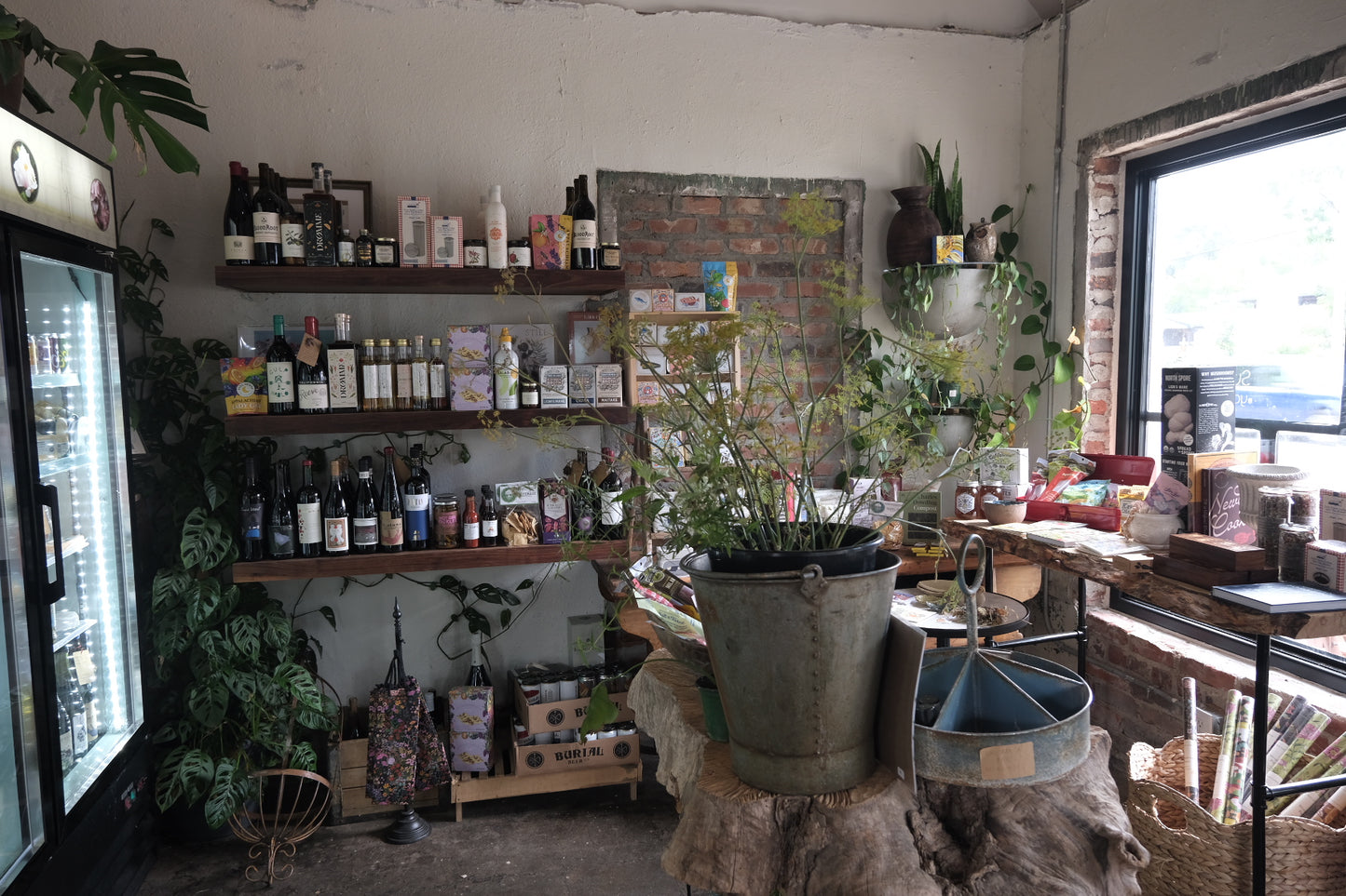 Roots subscription