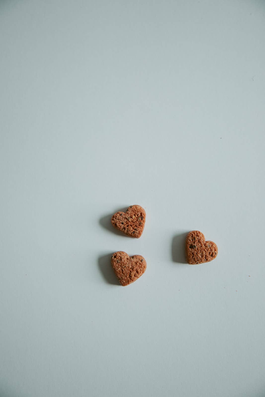 Love Bites - Training Treats | Organic | For All Dogs 💕