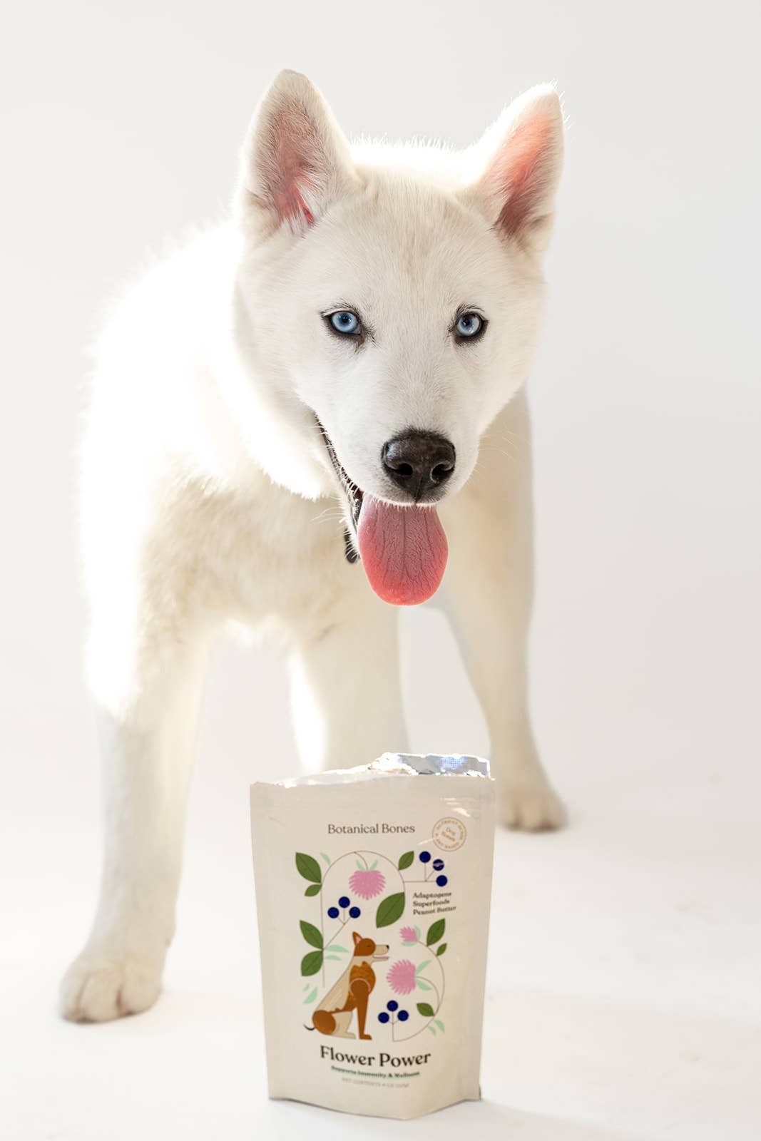 Flower Power Cookies - All Natural, Organic Dog Treats,