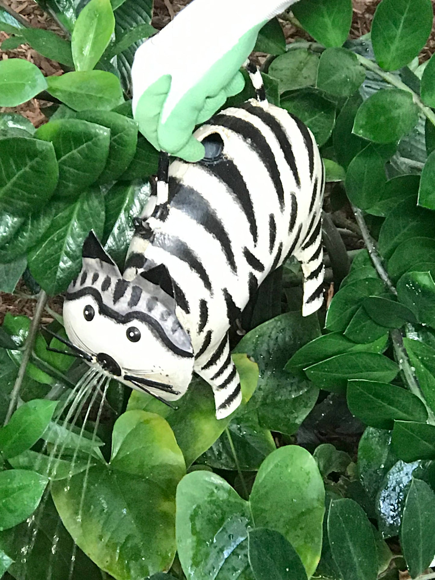 Coco The Cat Plant Pals Water Can