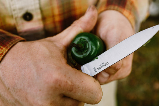 "Les Essentiels" Small Kitchen Knife Collection