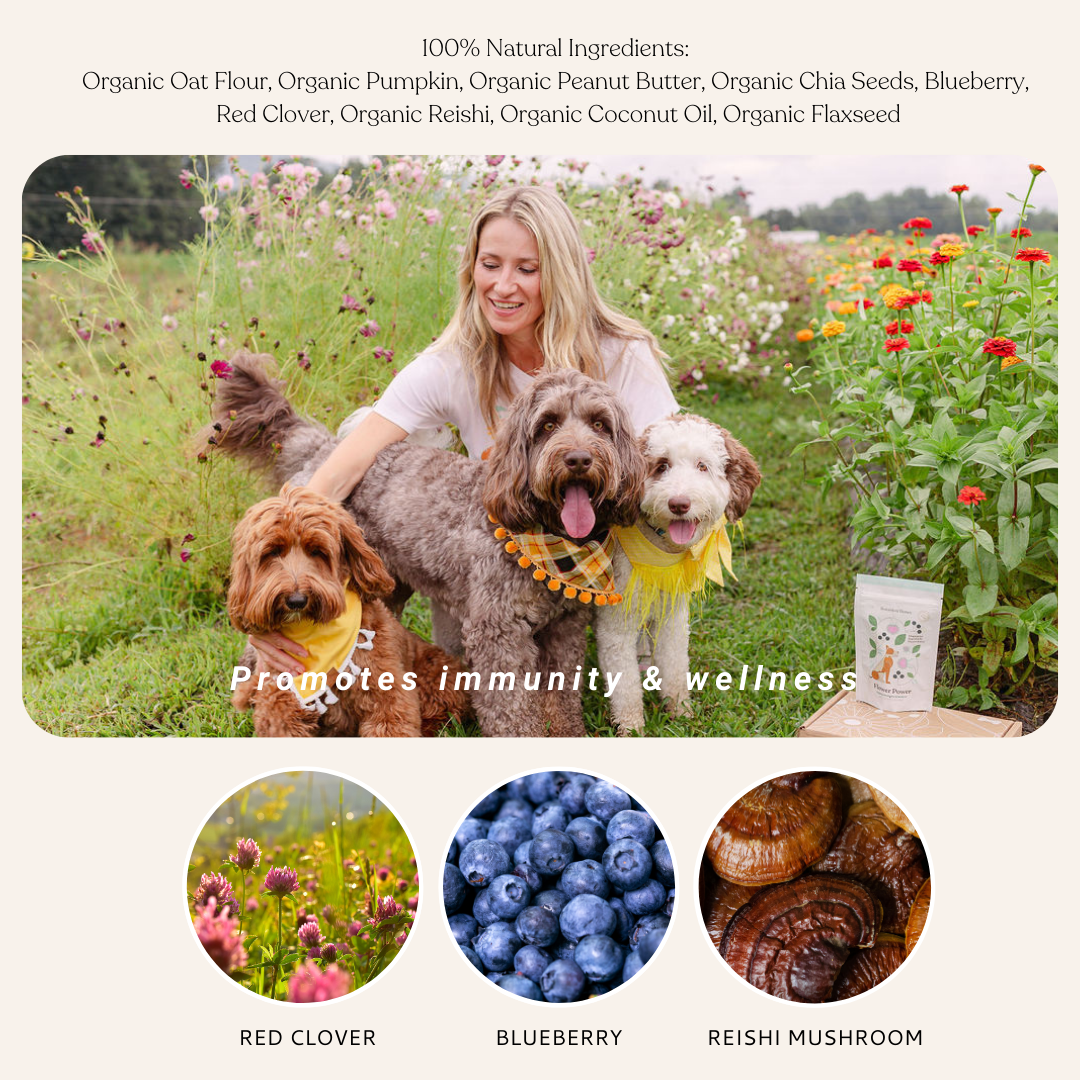 Flower Power Cookies - All Natural, Organic Dog Treats,