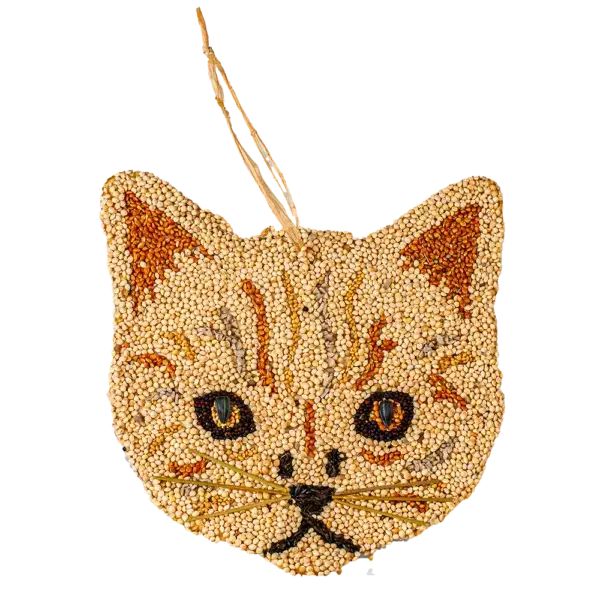 Cat Cookies - 12pk Assortment