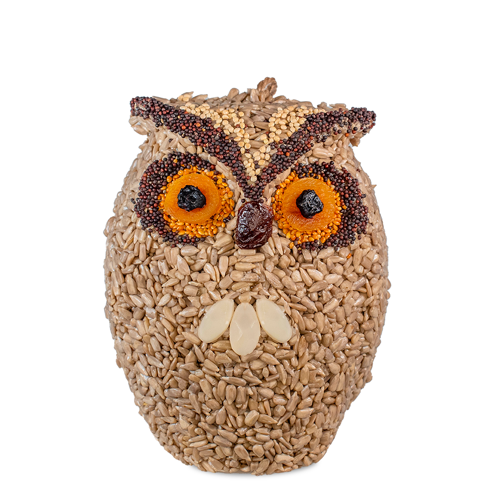 Whoo-lio Owl
