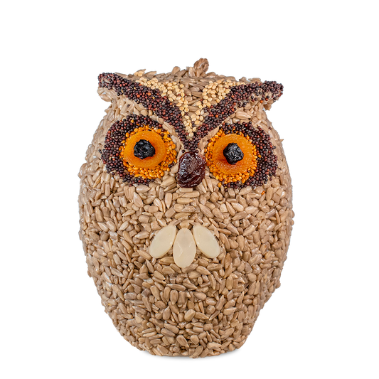 Whoo-lio Owl