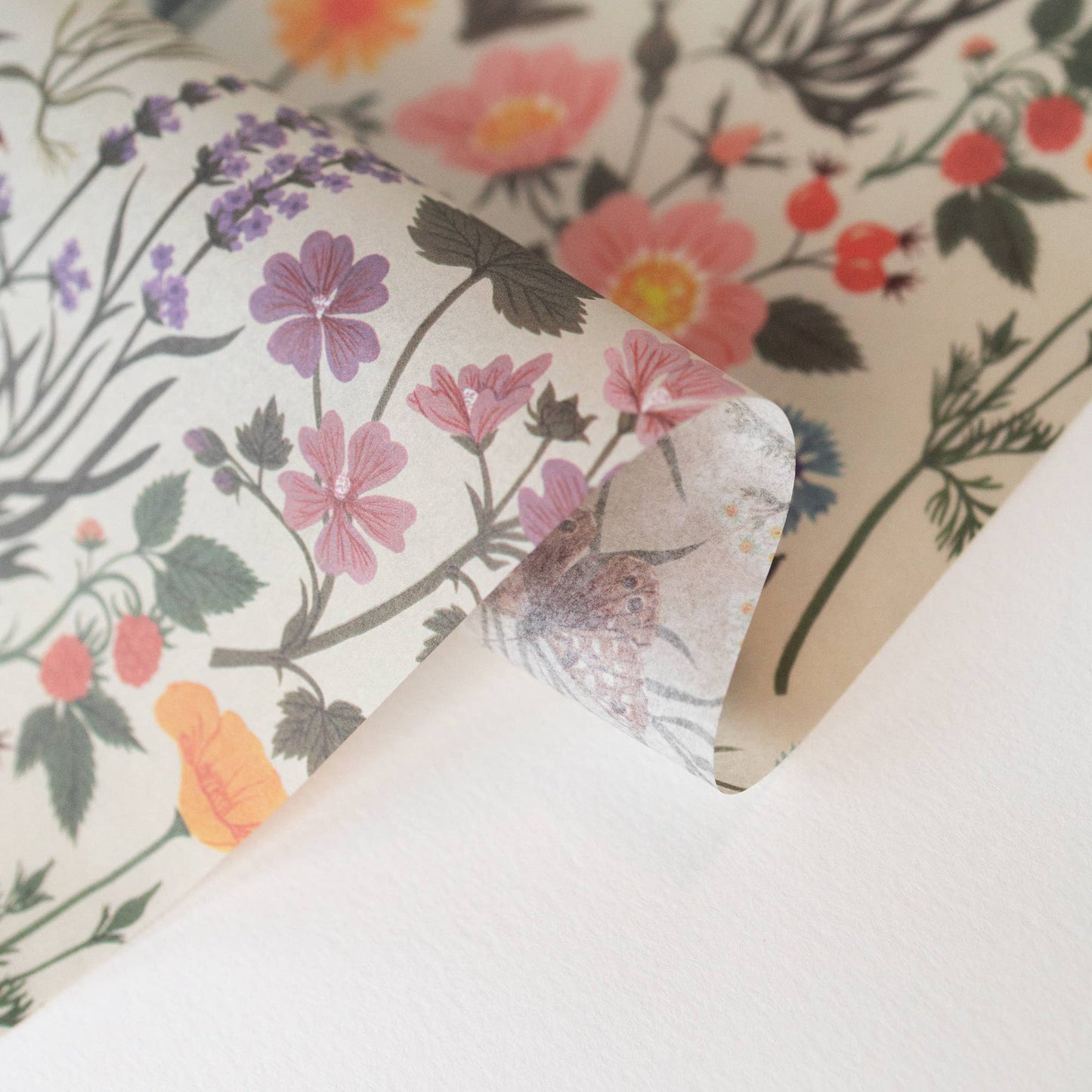 BOTANIST | Tissue Paper (10 sheets)