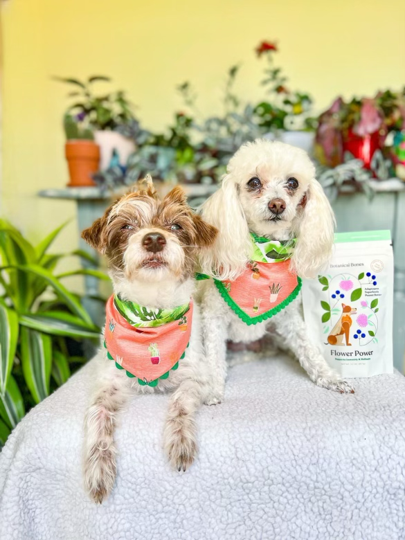 Flower Power Cookies - All Natural, Organic Dog Treats,