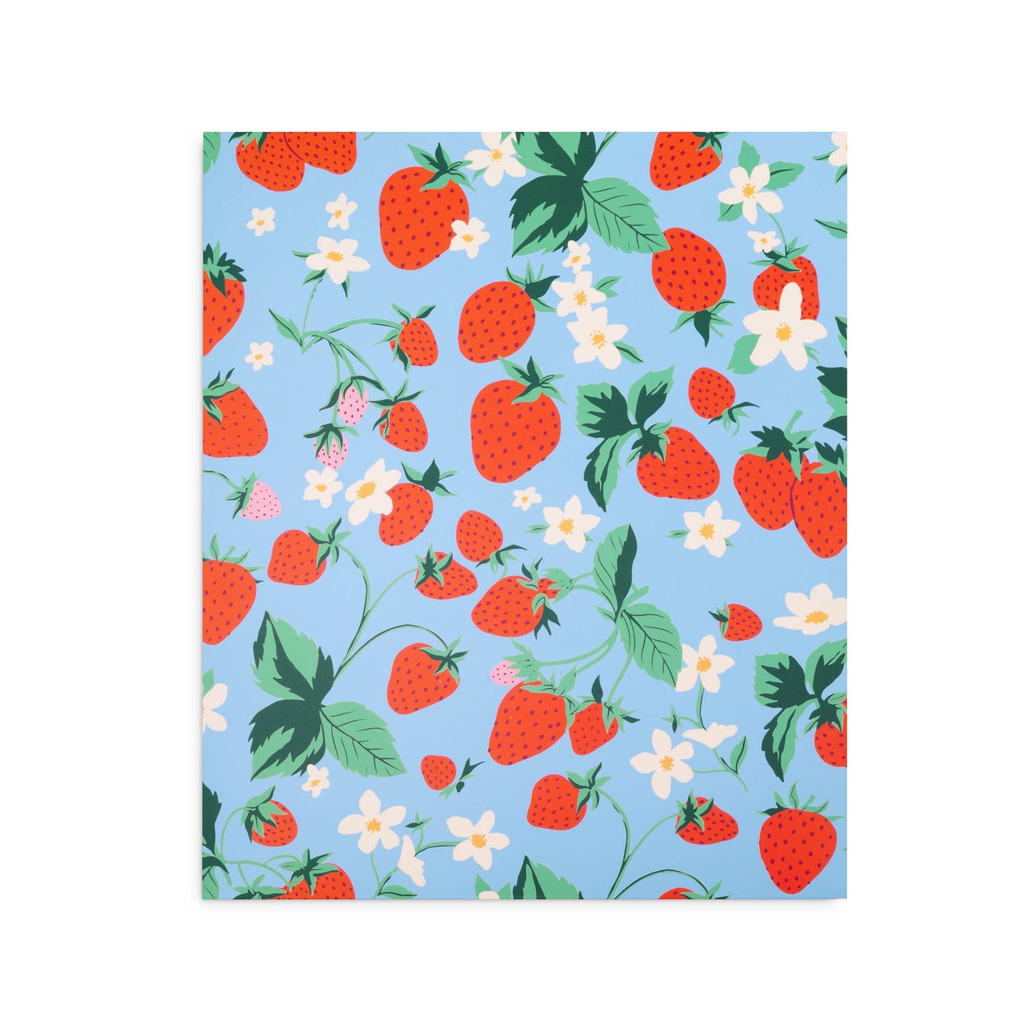 Pocket Folder Set, Flowers and Fruit