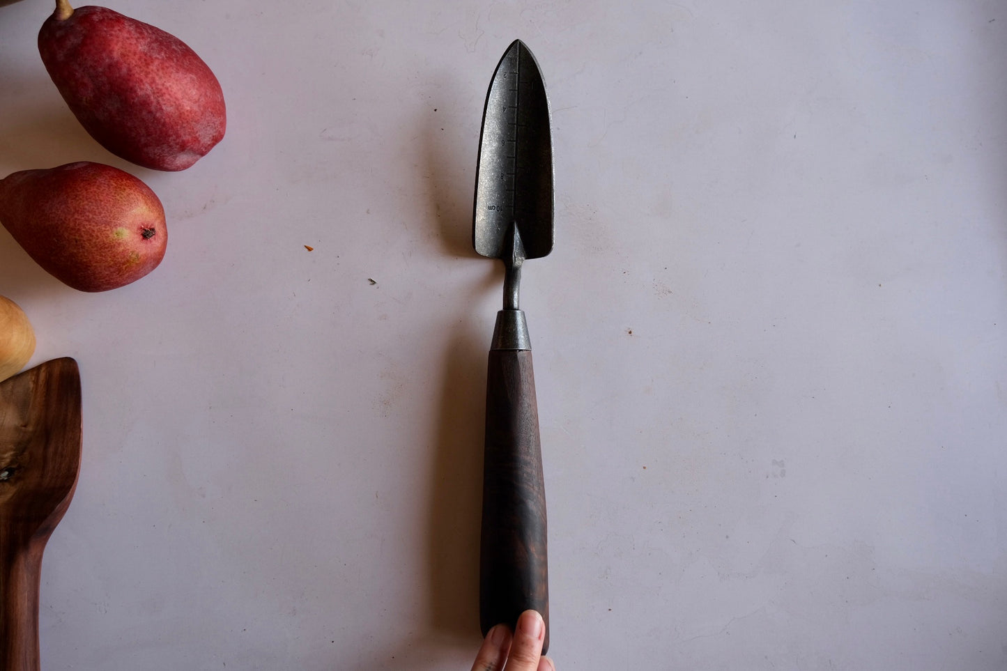 Walnut transplanter