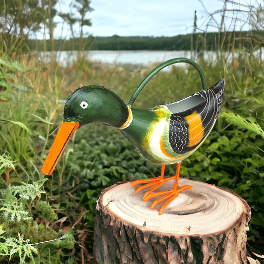 Alfred The Duck Plant Pals Watering Can