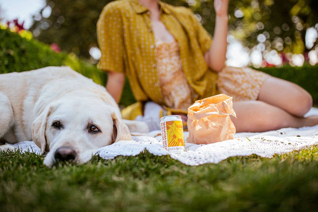 Eva's Spritz 6.7oz can mocktail, non-alcoholic, Dry January