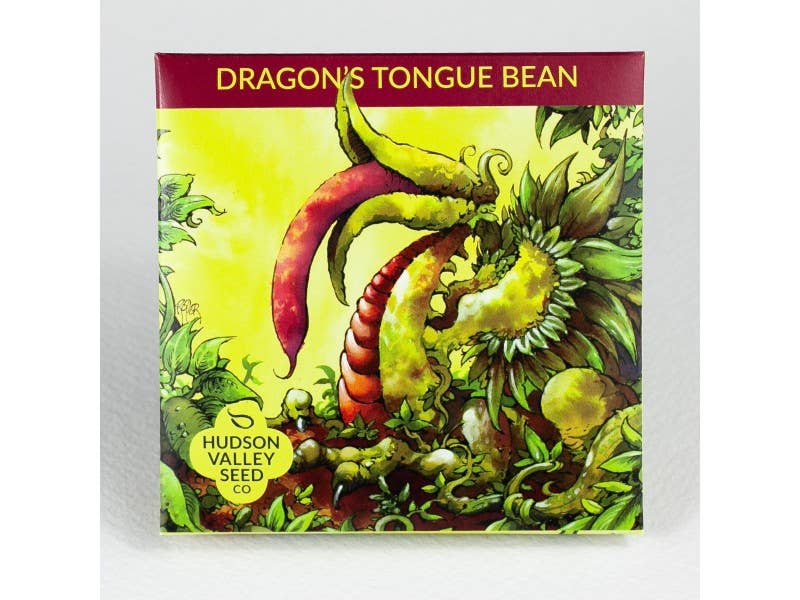 Dragon's Tongue Bush Bean