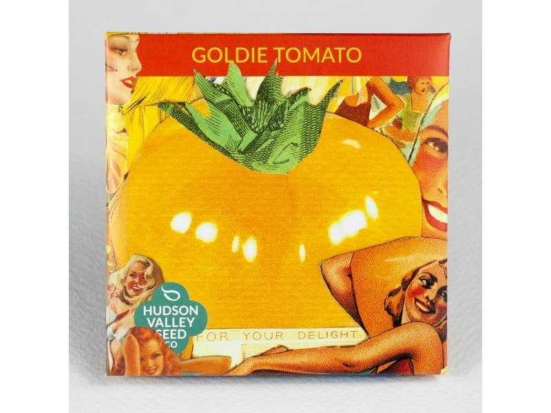 Goldie Tomato
