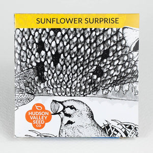 Sunflower Surprise
