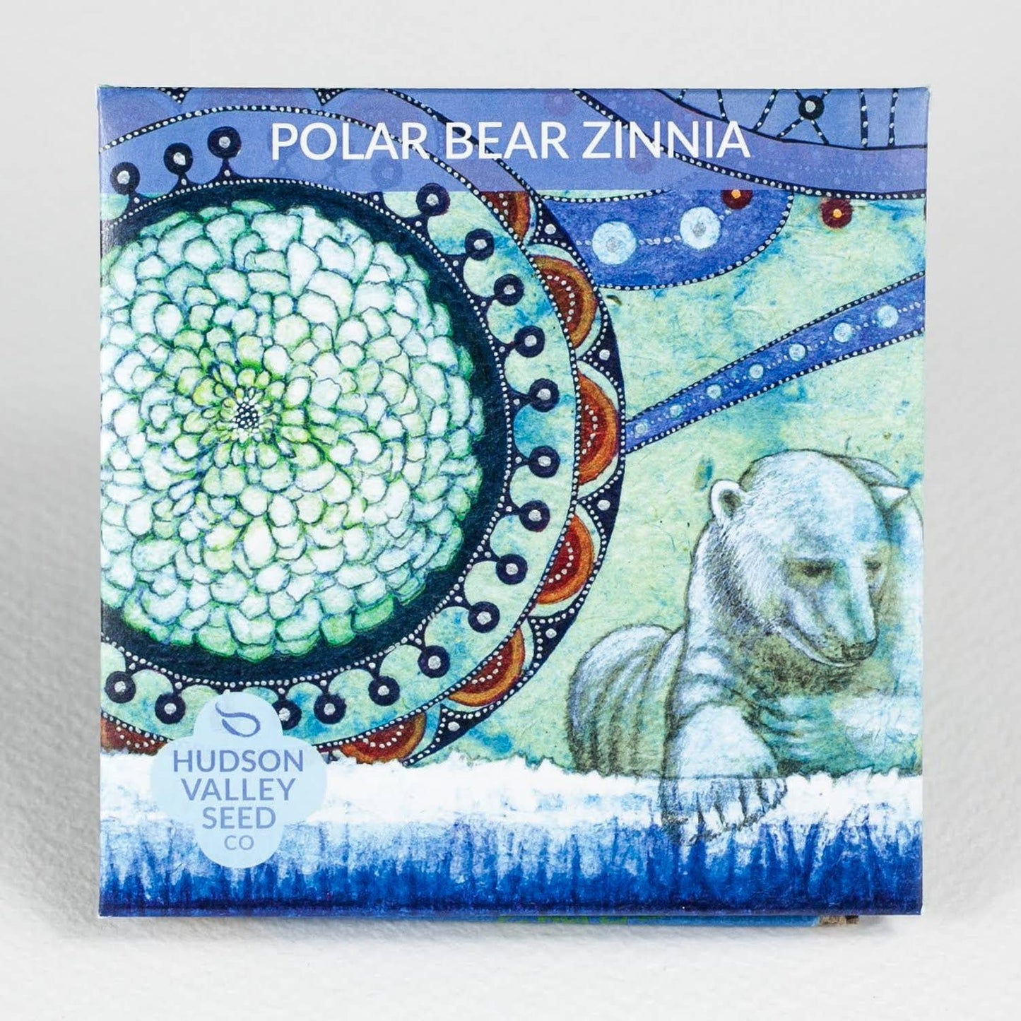 Polar Bear Zinnia