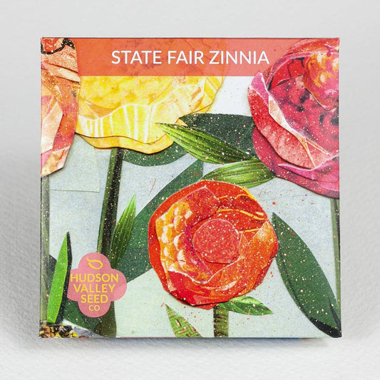 State Fair Zinnia