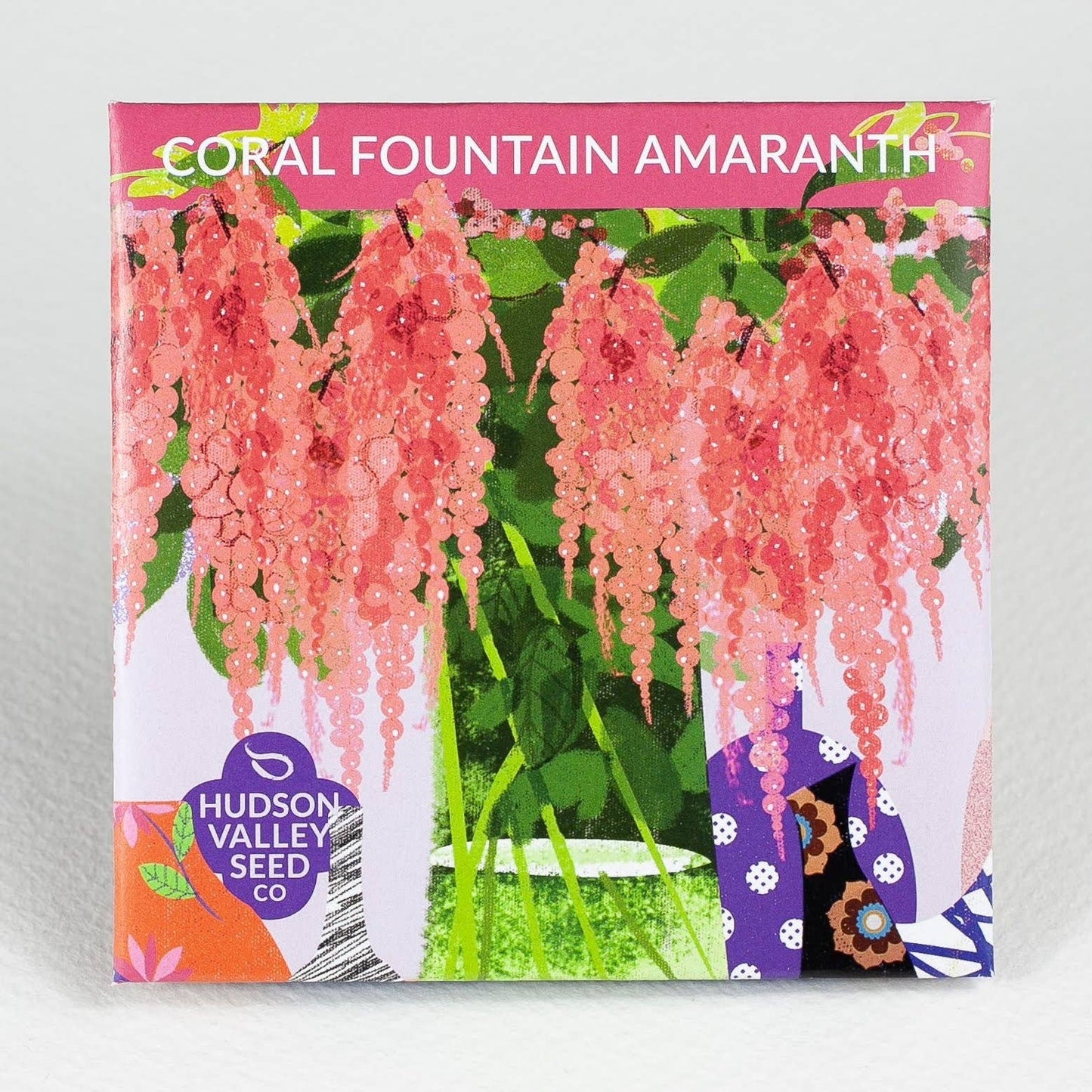 Coral Fountain Amaranth Flower