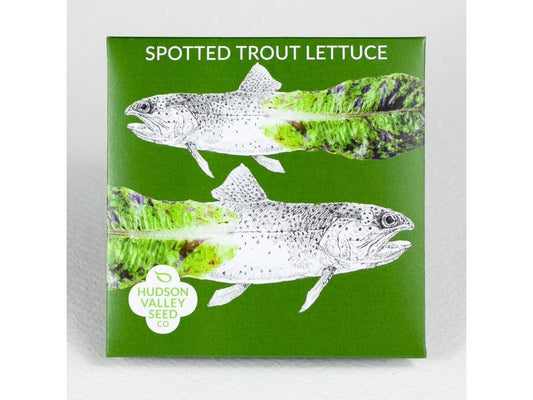 Spotted Trout Lettuce