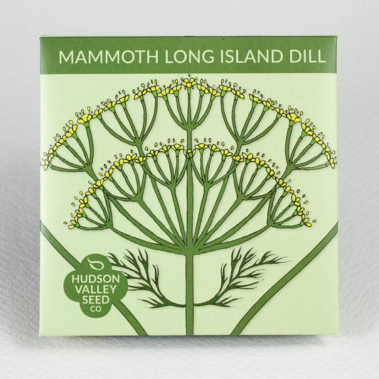 Mammoth Long Island Dill Herb
