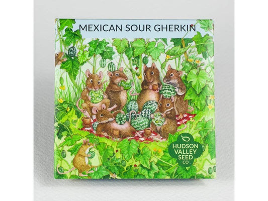 Mexican Sour Gherkin Cucumber