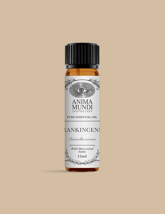 FRANKINCENSE Essential Oil | Wildcrafted