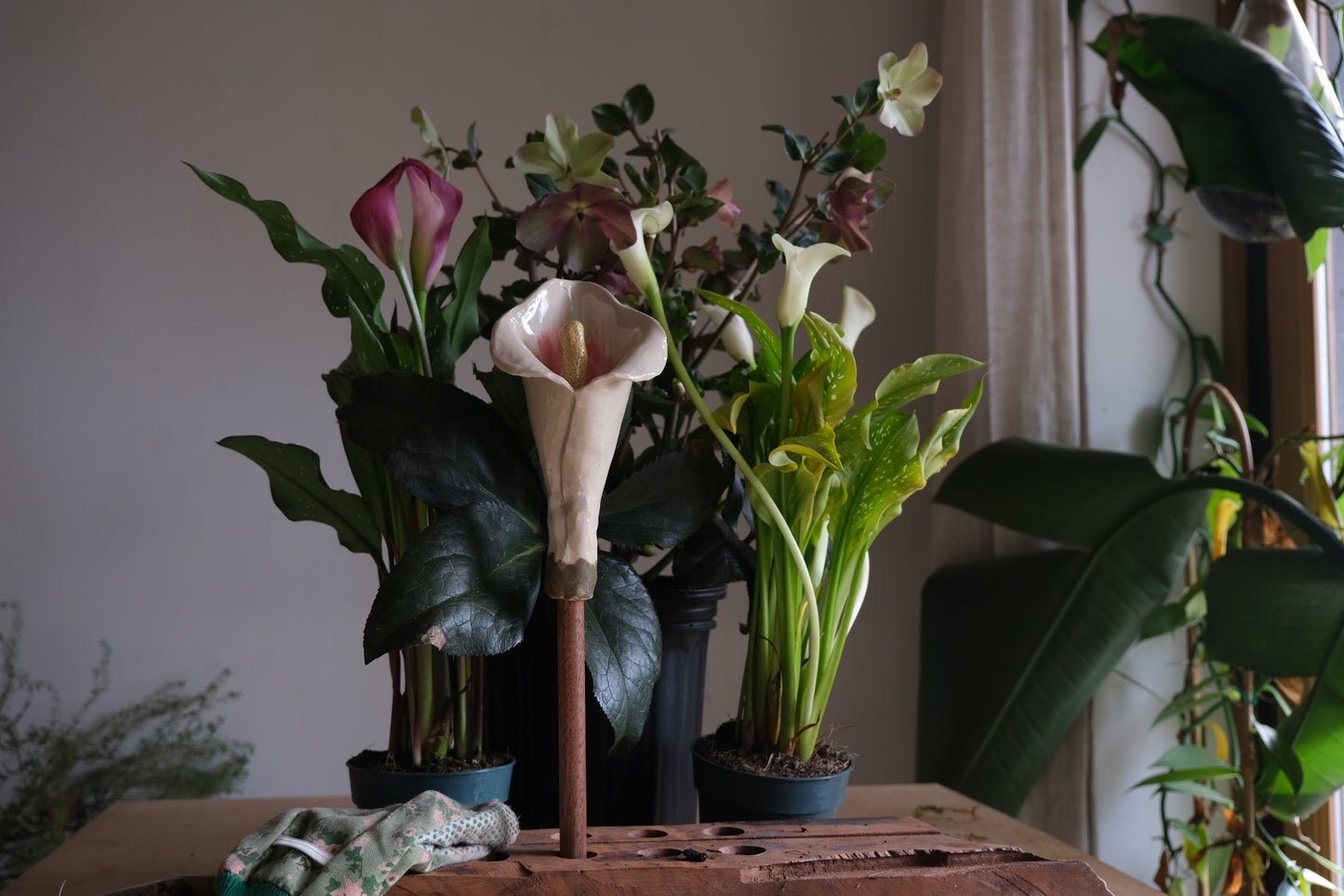 Calla lily flute l set