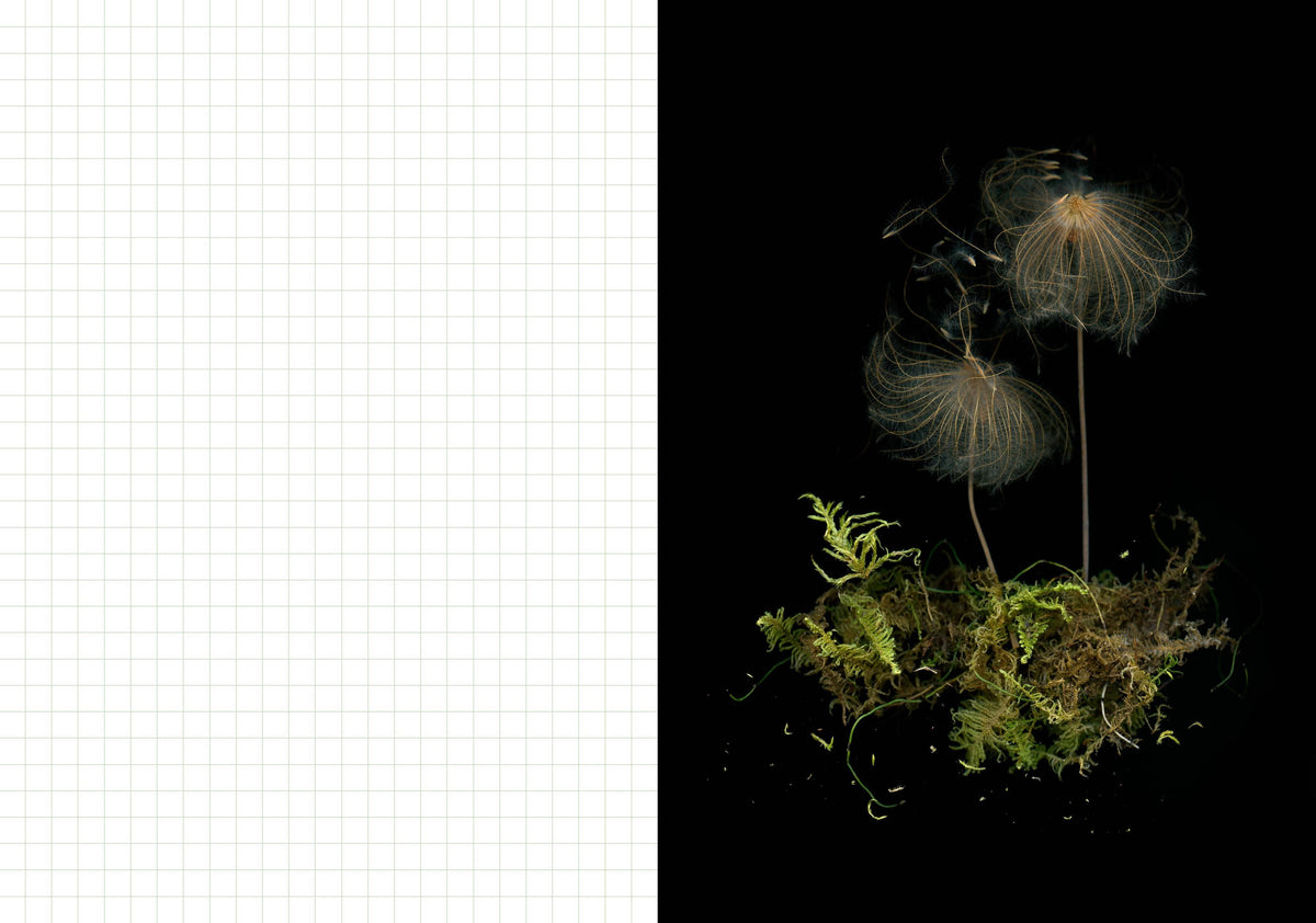 Deep Dark Forest Mushroom Journal